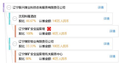 信息技術(shù)咨詢(xún)服務(wù) 遼寧振興煤業(yè)科技咨詢(xún)服務(wù)有限責(zé)任公司的專(zhuān)業(yè)優(yōu)勢(shì)