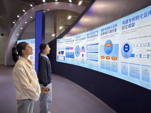 我校師生參加第十四屆中國(guó)國(guó)際專(zhuān)利技術(shù)與產(chǎn)品交易會(huì)，聚焦信息技術(shù)咨詢(xún)服務(wù)創(chuàng)新